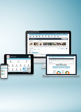 Custom Web Application